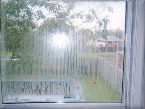 foggy window repair fort worth foggy windows fort worth foggy window specialist dallas fort worth Foggy windows Burleson Foggy window repair Burleson TX foggy windows Burleson Texas