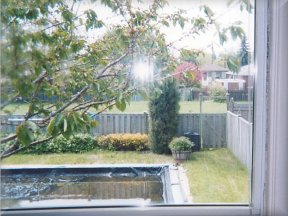 foggy window repair fort worth foggy windows fort worth foggy window specialist dallas fort worth Foggy windows Burleson Foggy window repair Burleson TX foggy windows Burleson Texas